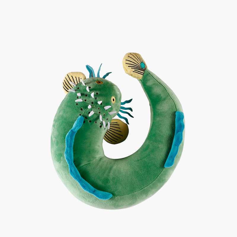 The Forbidden City | Catfish U Shape Pillow